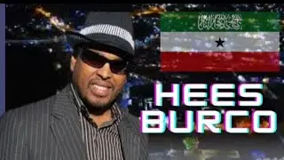 HEESTII BURCO IYO NUUR DAALACAY.#waqalstudio #hawraar