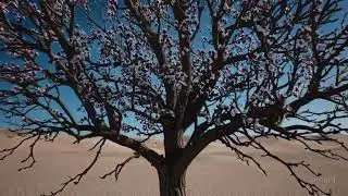 OpenAI Sora - Desert's Blossoming Miracle