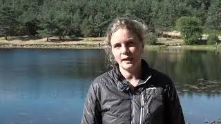 Le sentier de d&eacute;couverte de l'&eacute;tang de Barrandon
