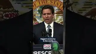 Florida vs US Debt Comparison | MUST WATCH | #shorts