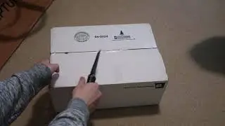 Nike Dunk High SB Premium 'Gucci' RESN Sneaker Unboxing