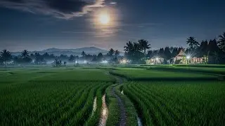 Pedesaan yang tenang ( Soothing indonesia village at night ) 
