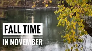 Fall Time In November 🍂 | Fall in Austria | Silent Vlog