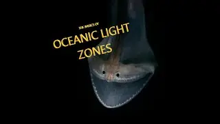 Oceanic Light Zones