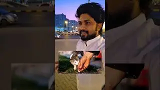 I saw a Stranger Who feeds to an ants😍🥰🥰 || @Sharjah UAE 🇦🇪😍🥰 #trending #streetfeeding #emotional