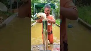 Clean Water 🚰 ~ New Viral Gadgets, Smart Appliances,Kitchen Utensils/ Home Inventions#shorts#gadgets