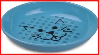 Van Ness Pets EcoWare Whisker Friendly Cat Bowl, Wide Dish Cat Dish, 8 OZ, Blue