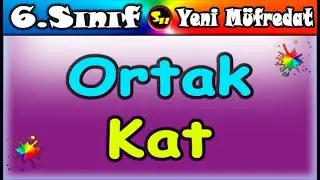 Ortak Kat 6. Sınıf Matematik