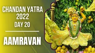 Aamravan 5000 mangoes | Chandan Yatra 2022 - Day 20 | ISKCON Chowpatty