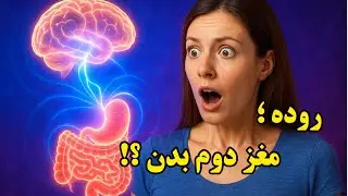 ارتباط جالب بین روده و مغز | تأثیر سلامت گوارش بر ذهن و احساسات