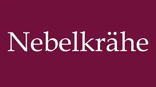 How to Pronounce ''Nebelkr&auml;he'' (Hooded crow) Correctly in German
