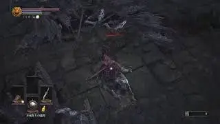 DS3 sl1+0 weapon upgrade+all boss challenge run (6)