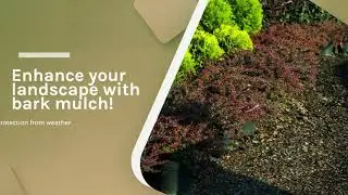 Bulk Bag Mulch & Wood Chip Delivery - Triple5