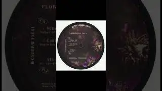 Mihai Pol &ndash; Mother Of Groove (Florilegium Vol 1, Wonderground Records, 2025) [Minimal/Tech House]
