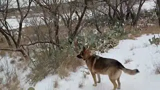West Texas Snow and Ice 1/23/2026-1/25/2026