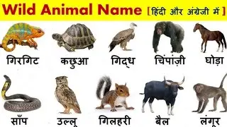 Names Of Wild Animals Made Easy In English And Hindi : #kidseducation