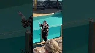 Tom the Mime | Tom Brings a Scare for Halloween 🎃 😁😁