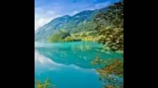 Samer Sharma Live Stream