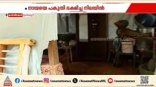 കാസർകോട് ഇരിയണ്ണിയിൽ വീണ്ടും പുലി? വളർത്തുനായയെ പകുതി ഭക്ഷിച്ച നിലയിൽ കണ്ടെത്തി