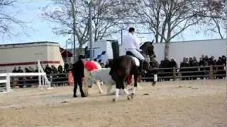Cheval Passion Avignon 2012
