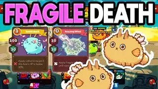 Top rank Buzzing wind Fragile Meta S19 - Axie infinity