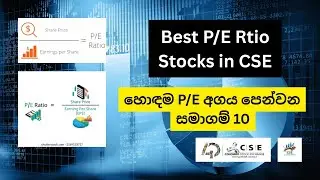 Hidden Gems in Sri Lanka Stock Market? - හොඳම P/E අගය පෙන්වන  සමාගම් 10