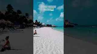 Palm Beach Aruba | #Aruba #shorts #viral