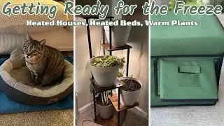 Getting Ready for Freezing Weather: Pets, Plants & Cozy Prep
