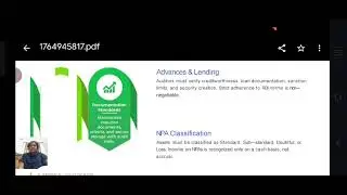 Features of Audit| Analysis of Financial Activity| SNS Institutions