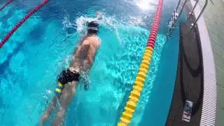 The road to RIO 2016 Marten Van Riel
