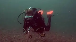 Seabed Surveys July 2018