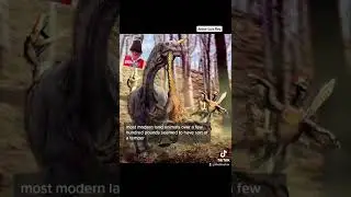 The STRONGEST Dinosaurs