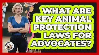 What Are Key Animal Protection Laws For Advocates? - Animal Care Jobs