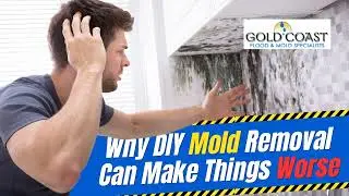 D-I-Y Mold Removal: Step-by-Step Guide from Experts!
