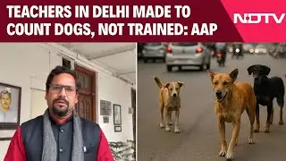 AAP News | Teachers in Delhi Made to Count Dogs, Not Trained: AAP
