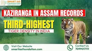 📢 KAZIRANGA TIGER RESERVE RANKS 3RD IN INDIA | Global Tiger Day Report 2024 | Assam's Wildlife Pride