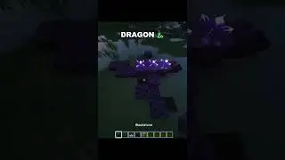 Dragonnn... #minecraft #cinematicminecraft