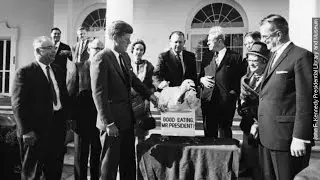 A Brief History Of Presidents Pardoning Turkeys - Newsy