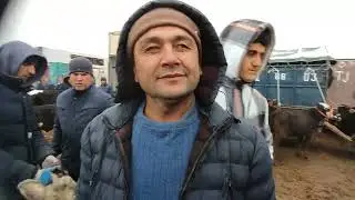 Молбозори Дангара 18 01 2026