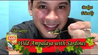 Wild Ampalaya Leaves with Sardines | RenoOcampo | TheBoarders