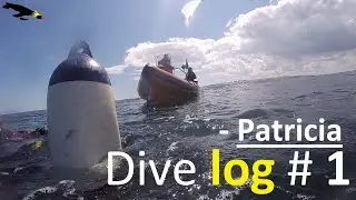 Patricia - Dive Log #1