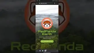 Red Panda Earth Token update ERC20 Charity Token NFT update Reflections Animal Adoption up 5x more