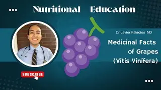 Medicinal Facts about Grapes | Naturopathic Living | Nutrition Education