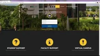 Blackboard Navigation Tutorial
