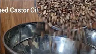 The extraction process of ( CASTOR OIL ) BY RAW ORGANICA
