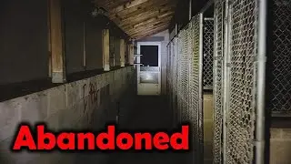 Обнаружены следы недавнего ритуала в подвале жуткого дома рядом с заброшенными собачьими будками.