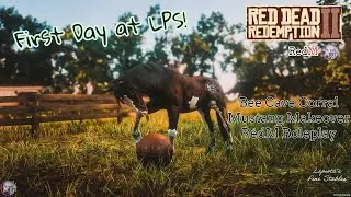 {EP 2} RedM RP | Bee Cave Corral Mustang Makeover | 304 and her Love for Balls!