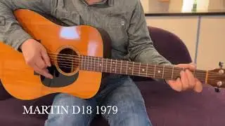 Martin D18 1979