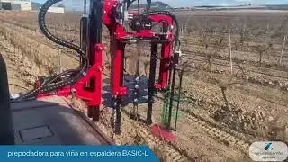 Basic L de Industrias David