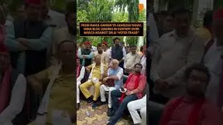 Rahul, Priyanka, Akhilesh Detained During INDIA Bloc Protest Against SIR in Delhi | #ytshorts